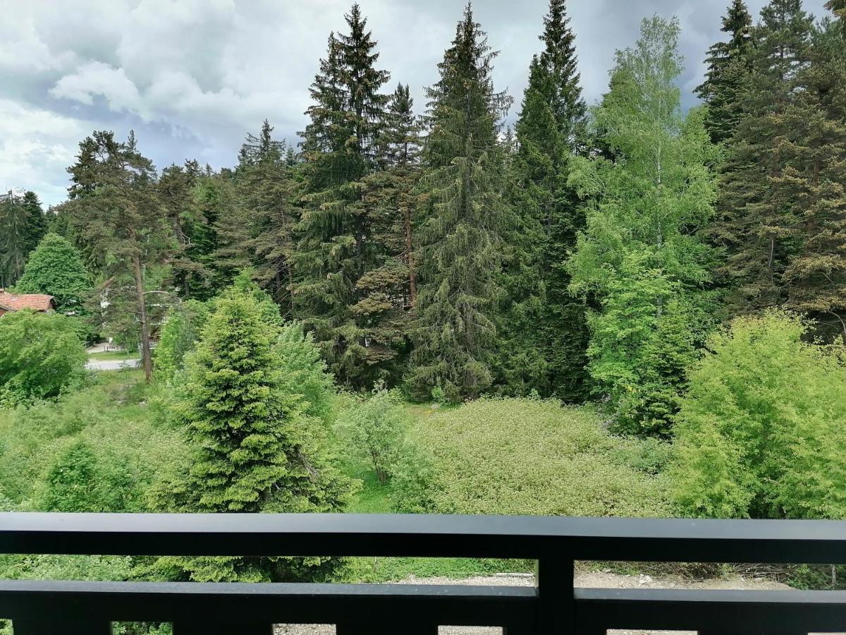 Borovets Gardens Studio D36 المظهر الخارجي الصورة