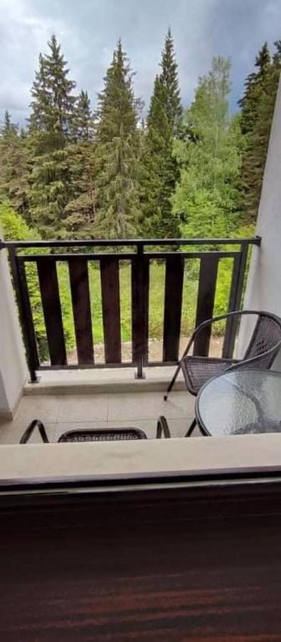 Borovets Gardens Studio D36 المظهر الخارجي الصورة
