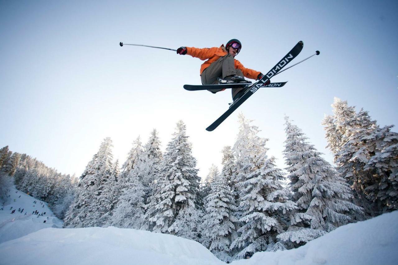 Borovets Gardens Studio D36 المظهر الخارجي الصورة