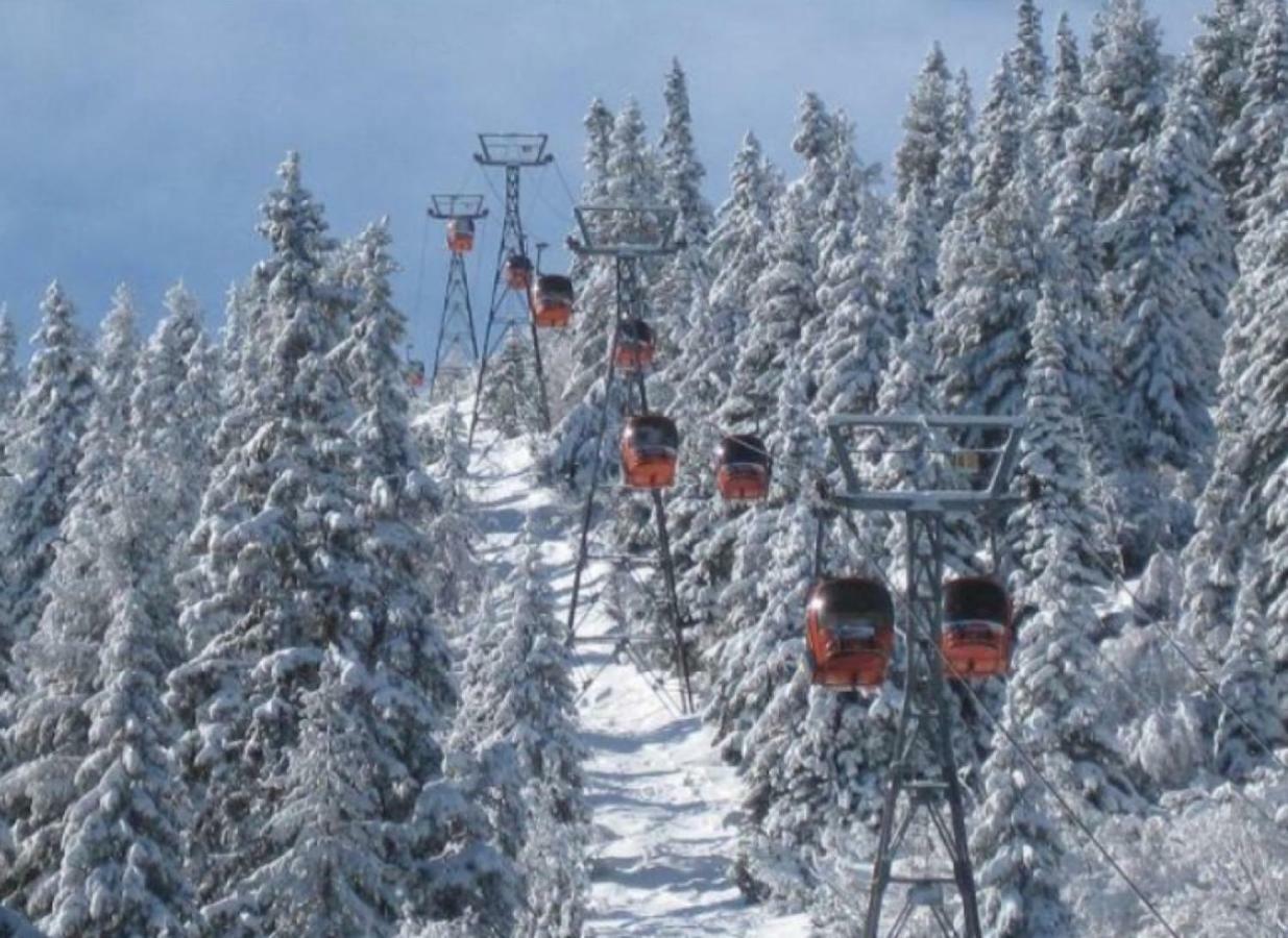 Borovets Gardens Studio D36 المظهر الخارجي الصورة